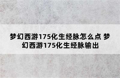 梦幻西游175化生经脉怎么点 梦幻西游175化生经脉输出